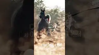Вывод: Любите арабов. #animals  #horse  #equestrian  #edit  #sports  #youtubeshorts  #arabianhorse