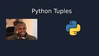 How to use Tuples data type in Python