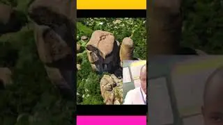 Chandalia Ya Kiswahili