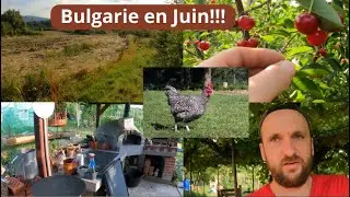 Je vous ouvre les portes de mon jardin en ce beau mois de juin bien chaud!