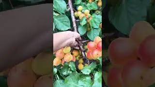Выбор за мной #shorts #здоровье #счастье