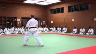 Ката сушихо
