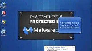Malwarebytes Anti-Malware Protection Modules