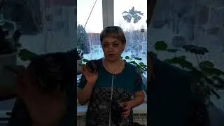 "От макушки до пяточек" ЭКО продукция.
