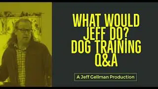 Stop dog from jumping | Stop dog from chasing dogs | What Would Jeff Do? Dog Training Q&A 
