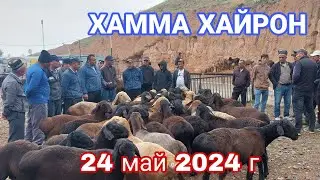24 мая 2024 г.МОЛБОЗОРИ ИСТАРАВШАН !