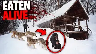 These 3 People Were EATEN ALIVE By Deadly Predators at Cabin!