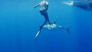 TIBURONES Y HOMBRE