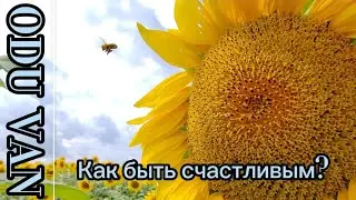Почему человек страдает? Как быть счастливым?
