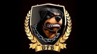 Os 10 Cães Mais Bravos do Mundo!