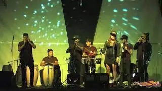 15-Talento de televisión - Mexican Salsa Orquesta /BOM FyV