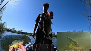 Inflatable Raft Bass Fishing (Master Angler Bluegill + UNDERWATER footage of Spawning Bass!)