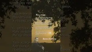 Там, у степу, схрестилися дороги… Василь Симоненко