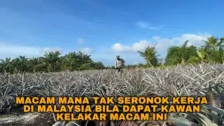 MACAM MANA TAK SERONOK KERJA DI MALAYSIA BILA DAPAT KAWAN KELAKAR MACAM INI