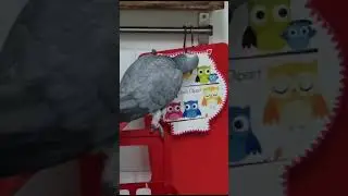 -  Кофе будешь?                          -  чай и поговорить!.