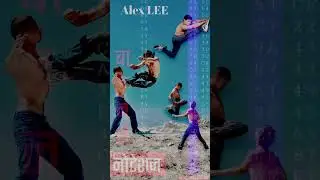 Alex Lee Action Martial Arts