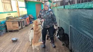 Старичок Гашек, Злата и Цезарь