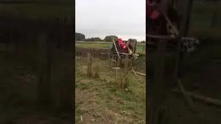 Carl foggarty (foggy) winstanleys mx