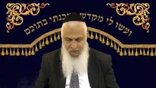 פרשת האזינו-כנשר יעיר קינו