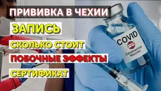 Всё о ВАКЦИНАЦИИ в Чехии | ПОКИНЬТЕ ВАГОН