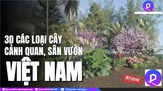 🚀 CÁC LOẠI CÂY CẢNH QUAN, SÂN VƯỜN THƯỜNG DÙNG Ở VIỆT NAM, 3D MODEL | D5 RENDER VIỆT NAM
