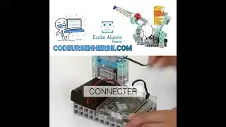 Une minute pour comprendre! Comment apprendre à coder en utilisant les robots éducatifs d'Algora?