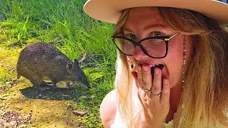 Best Finds in my Perth Local Park