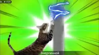 Китикет шел-шел-шел!!