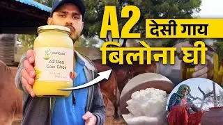 Kasutam A2 Desi Cow Bilona Ghee