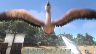 ARK: Survival Evolved - Funny Bird Kill