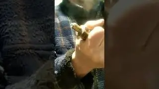 Самодельный узел прокола для СО2 баллона.