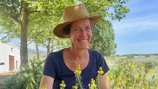 Gardening with Gundula: Bulbine frutescens🐝