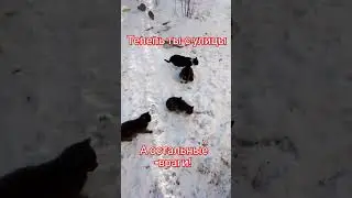 Теперь ты с улицы, а остальные -враги! (слово пацана)