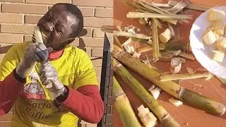 How to Peel and Cut Sugarcane, two methods.