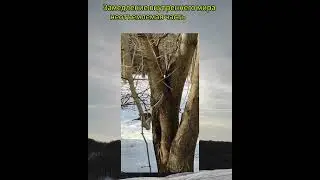 Весна уже за окном!