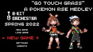 Pokemon RSE- 