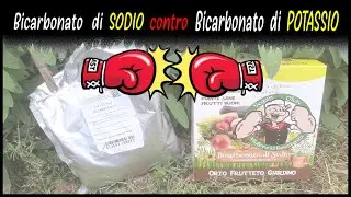 DIFFERENCE BETWEEN POTASSIUM BICARBONATE AND SODIUM BICARBONATE
