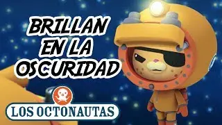 Los Octonautas Oficial en Español - Brilla en la Oscuridad | Animales Marinos Nocturnos