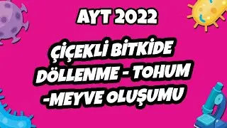 AYT Biyoloji - Çiçekli Bitkilerde Döllenme - Tohum ve Meyve Oluşumu  | AYT Biyoloji 2022 