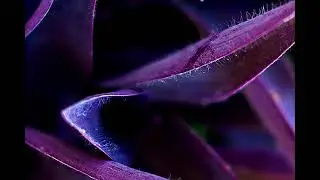 [FREE FOR PROFIT] The Kid LAROI x Juice WRLD Type Beat - "Missed Call"