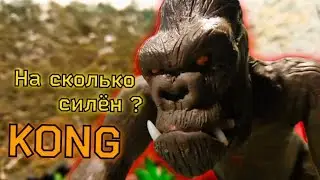 На сколько силён Kong?  Рубрика : 