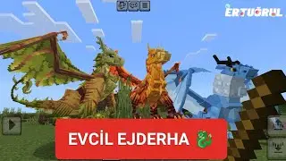 Minecraft Evcil Ejderhalarımız var🐉Bölüm 1 #minecraft #minecraftmod #modyapımı