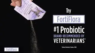 Try FortiFlora for Cats and Dogs with Diarrhea
