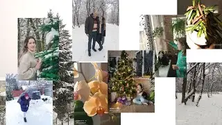 последний обзор уходящего года 🥂🌲☃️🌨️