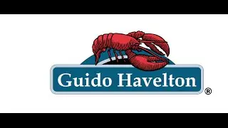 sex dwarf (instrumental) - Guido Havelton