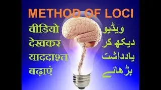 वीडियो देखकर याददाश्त स्मरणशक्ती बढ़ाएं| how to increase memory power and concentration hindi urdu 2