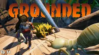 Grounded | Into the Termite Infested Wood Pile | Ep 11
