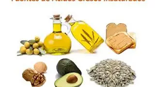 NUTRICION LIPIDOS - ACTUALIZADO