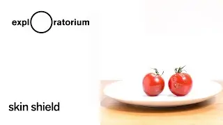 Skin Shield- Science Snack Activity