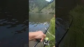 НЫРНУЛ в воду ЗА РЫБОЙ #рыбалка #тайга #спиннинг